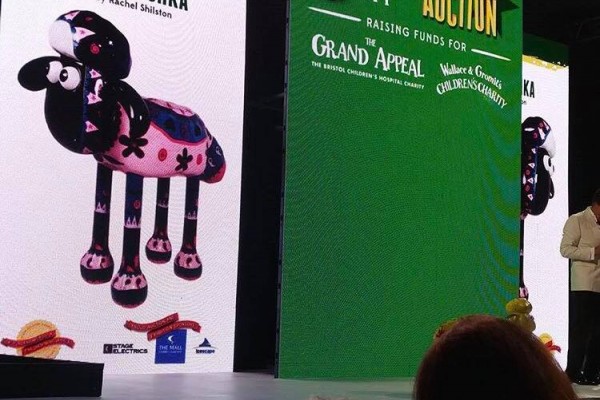 shaun auction